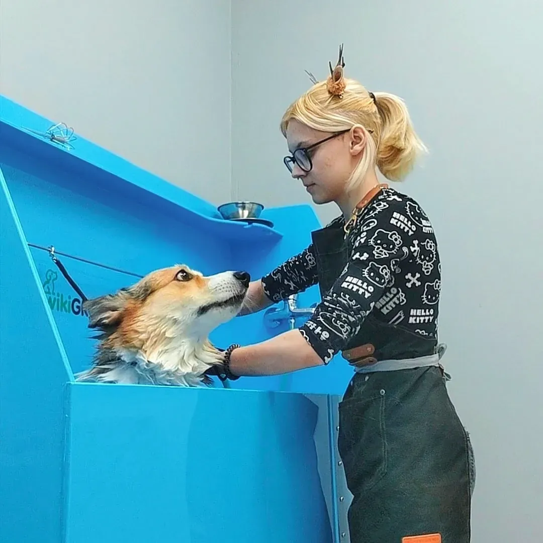 Гигиенический комплекс